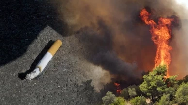 Sigara, su ve toprak kirliliğine neden oluyor