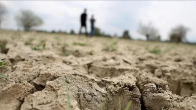 Türkiye’nin Yeşil Geleceği: Girişimcilerin Yükselişi