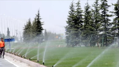 Sürdürülebilir Çevre İçin Yeni Adım: Kurakçıl Peyzaj