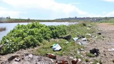 Piknikçiler Dicle Nehri kıyısını çöplüğe çevirdi: Su kuşları tehdit altında