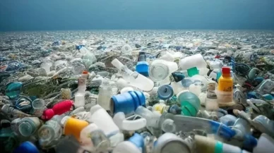 Hong Kong'da tek kullanımlık plastik yasağı