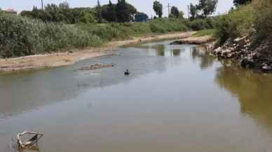 Büyük Menderes'te Kuraklık ve Kirlilik Tehlikesi!