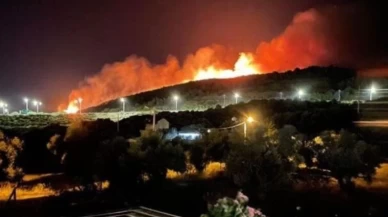 İzmir Urla'da orman yangını