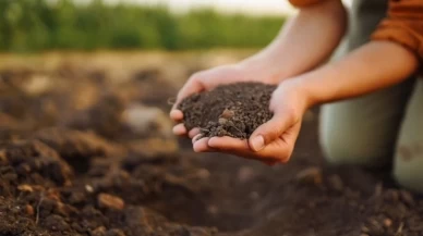 Tarım Devrimi: Akıllı Toprakla Suyu Verimli Kullanma