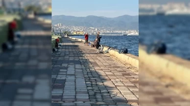 İzmir Körfezi'nde Balık Ölümleri ve Kötü Koku Alarmı