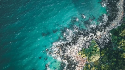 Marmara’da yeni deniz çayırı alanları keşfedildi