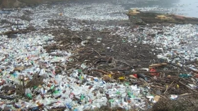 Plastik Tehlikesi: Beklenenden Daha Yüksek Kimyasal İçerik