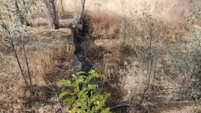 Yüzey Yarıkları ve Obruklar Konya Havzası'nda Artıyor: Uzmanlar Uyarıyor