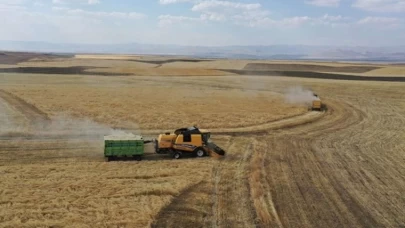 Çiftçinin Bekleyişi Sürüyor: Buğday Fiyatları Ne Olacak?