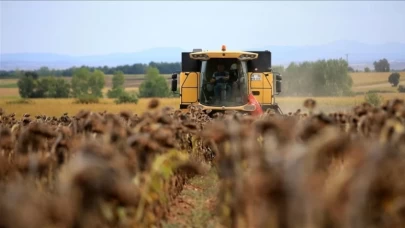 Tarımda Üretici Enflasyonu Mayıs'ta Yüzde 61,24'e Çıktı