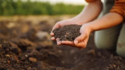 Tarım Devrimi: Akıllı Toprakla Suyu Verimli Kullanma