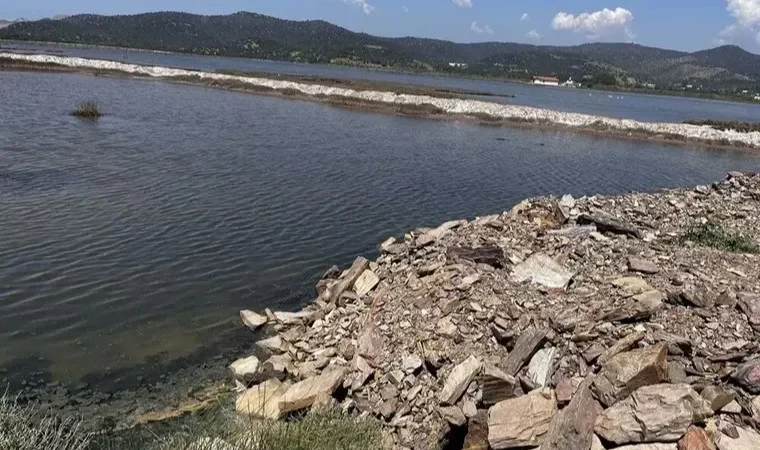 Flamingoların evine moloz yığını döktüler