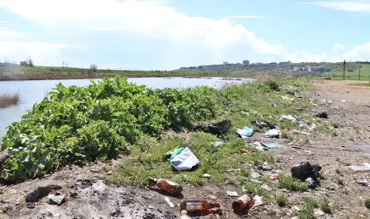 Piknikçiler Dicle Nehri kıyısını çöplüğe çevirdi: Su kuşları tehdit altında