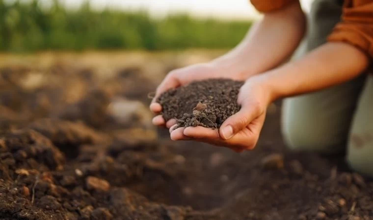 Tarım Devrimi: Akıllı Toprakla Suyu Verimli Kullanma