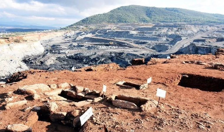 "Orman nüfusu tehdit altında": Muğla'da maden şirketi kapasite artışı istedi!