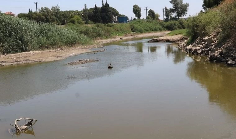 Büyük Menderes'te Kuraklık ve Kirlilik Tehlikesi!