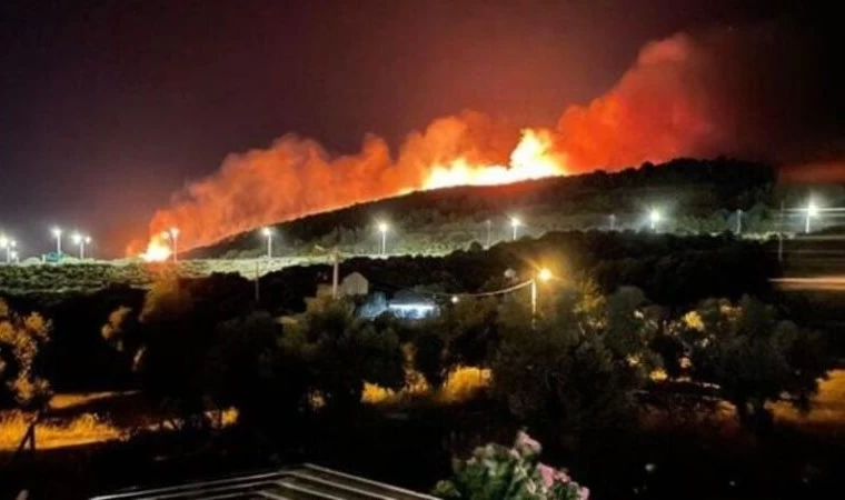 İzmir Urla'da orman yangını