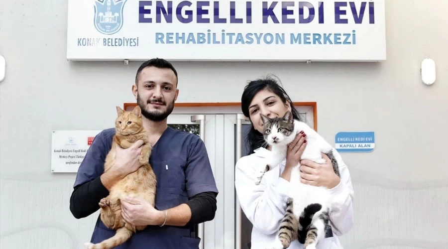 Konak Belediyesi’nden Engelli Kediler İçin Yuva Çağrısı