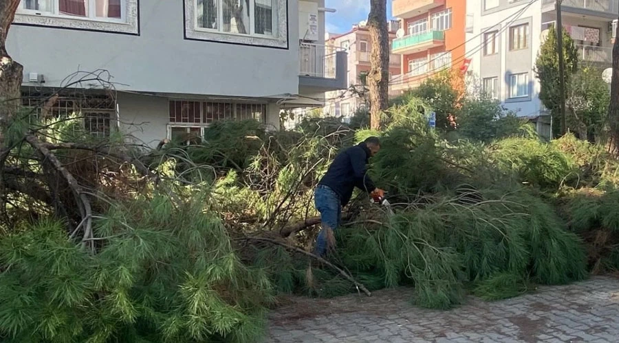 Ödemiş Belediyesi’nden Çevreci "Sıfır Atık" Hamlesi