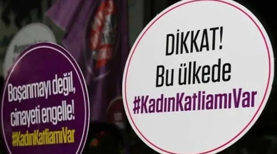 2024 Kadın Cinayetleri Raporu: İzmir'de 26 Kadın Öldürüldü